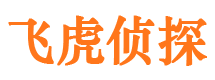 叶城市婚姻调查